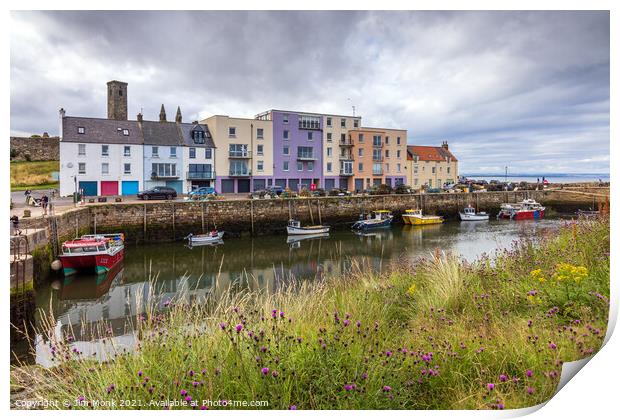 Harbour View, St Andrews  Print by Jim Monk