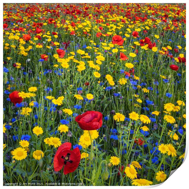Colourful Wildflowers Print by Jim Monk