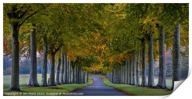 Beech Avenue - Moor Crichel Print by Jim Monk