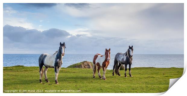 Horses by the sea, Northern Ireland Print by Jim Monk
