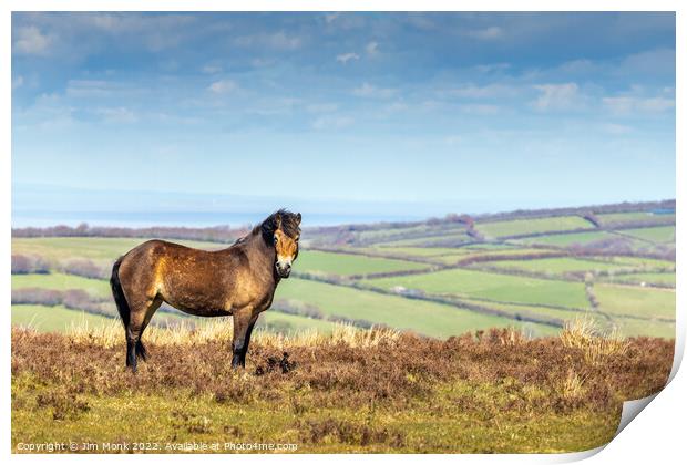 Exmoor Pony Print by Jim Monk