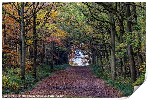 Woodland Path in Leicestershire Print by Jim Monk