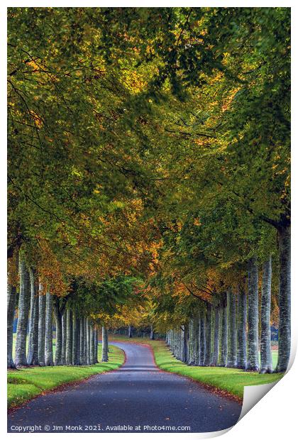 Beech Avenue at Moor Crichel, Dorset Print by Jim Monk