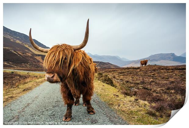 Highland Cow, Isle of Skye Print by Jim Monk