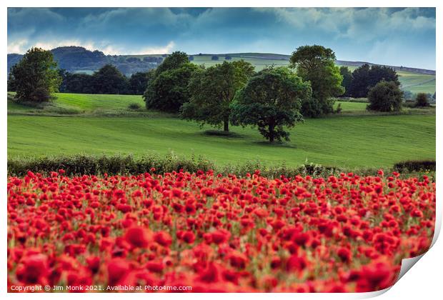 Peak District Poppies Print by Jim Monk