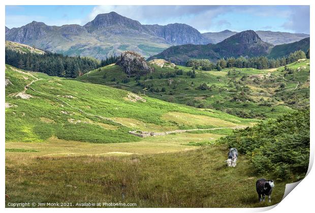 Little Langdale Valley Print by Jim Monk