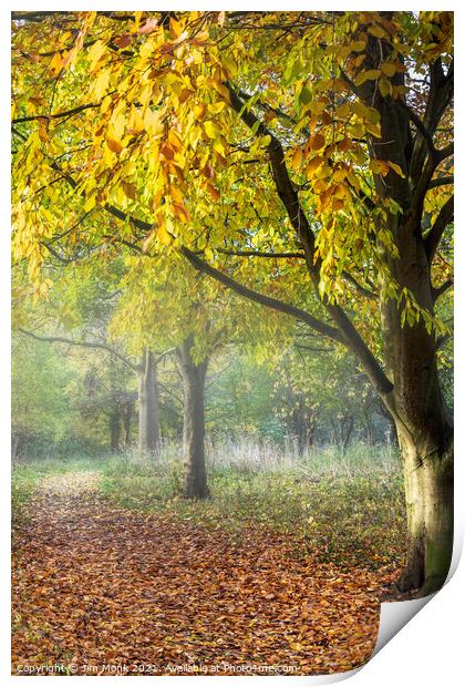 Autumn walk, Leicestershire Print by Jim Monk