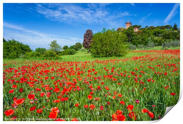 Meadow Poppies, Tuscany Print by Jim Monk