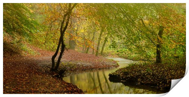 Autumn Colours Print by Tony Gaskins