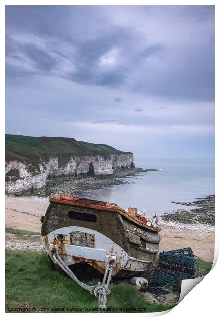 Springflower, North Landing Flamborough Head Print by Tony Gaskins