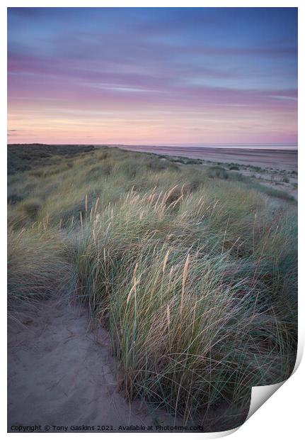 Light on the Dunes, Lincolnshire  Print by Tony Gaskins