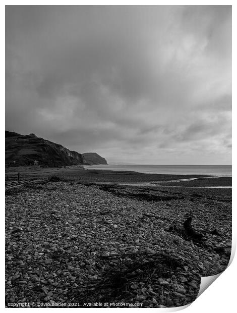 Charmouth Beach  Print by David Bladen