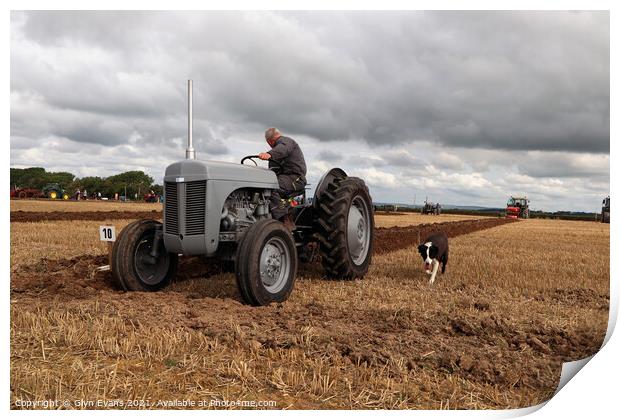 Old Grey Fergie. Print by Glyn Evans