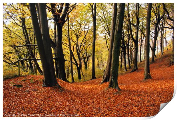 Autumn Woodland Print by Glyn Evans