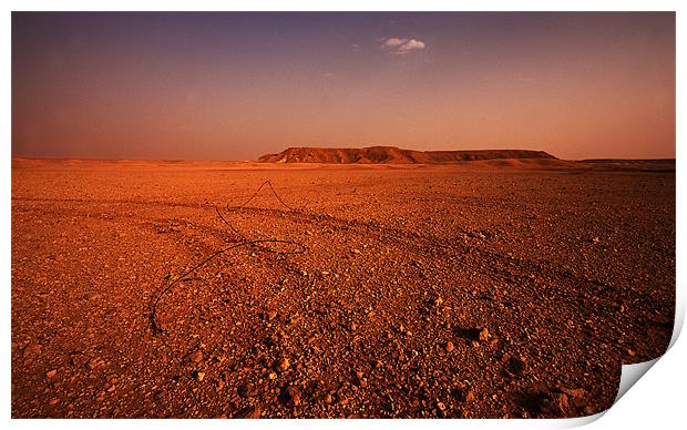 Tracks in the desert Print by Simon Curtis