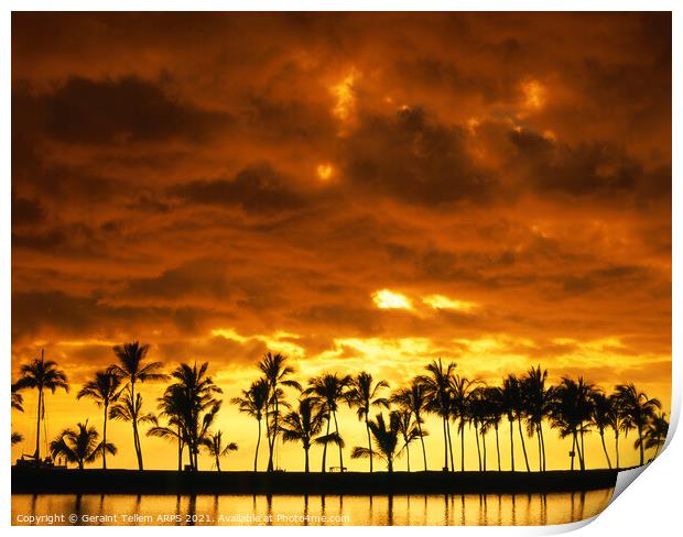 Palm trees at sunset, Kailua-Kona, The Big Island, Hawaii, USA Print by Geraint Tellem ARPS