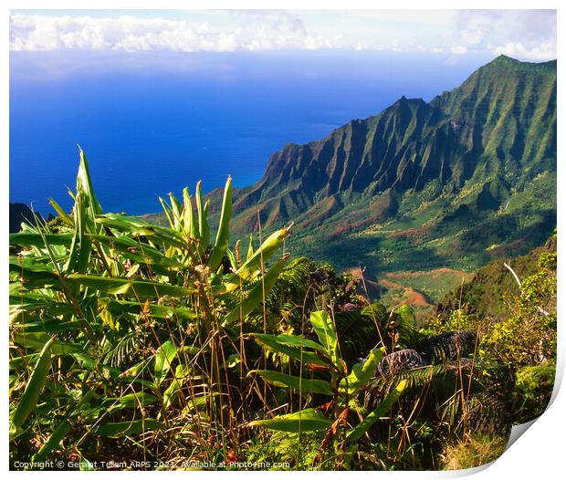 Cliffs at Na Pali coast, Kauai, Hawaii, USA Print by Geraint Tellem ARPS