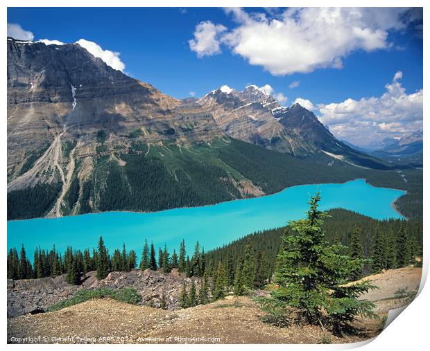 Peyto Lake, Banff National Park, Alberta, Canada Print by Geraint Tellem ARPS