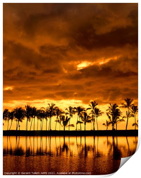 Palm trees at sunset, Kona, The Big Island, Hawaii Print by Geraint Tellem ARPS