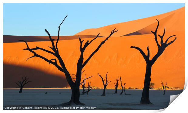 Dead Vlei desiccated trees, Sossusvlei, Namibia, Africa Print by Geraint Tellem ARPS