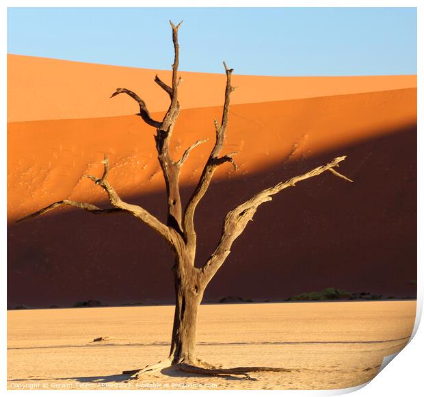 Dead Vlei desiccated trees, Sossusvlei, Namibia, Africa Print by Geraint Tellem ARPS