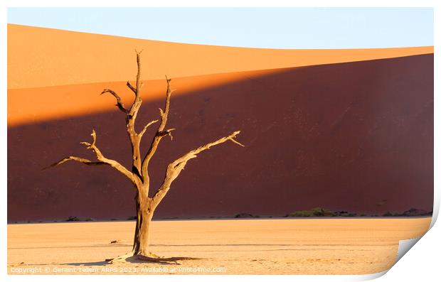 Dead Vlei, Sossusvlei, Namibia, Africa Print by Geraint Tellem ARPS