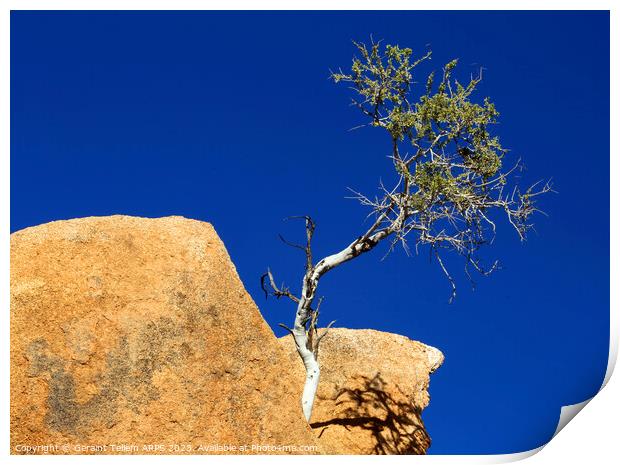 Lone tree, granite rocks, Spitzkoppe, Namibia, Africa Print by Geraint Tellem ARPS