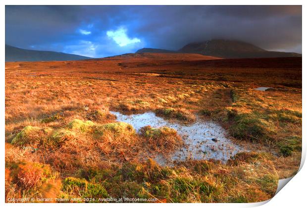 Moorland and mountain, Sutherland, Northern Scotland UK Print by Geraint Tellem ARPS