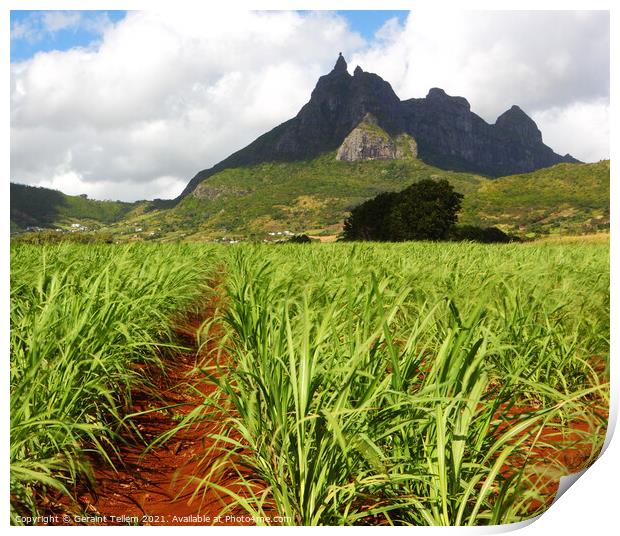 Mt. Pieter Both and sugar cane fields, Mauritius Print by Geraint Tellem ARPS