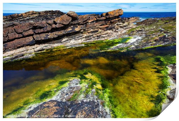 Rock Pool, near Brough Head, West Mainland, Orkney Islands, UK Print by Geraint Tellem ARPS