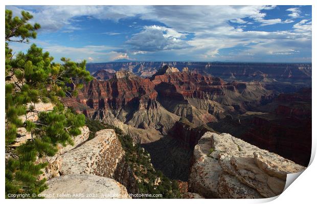 Grand Canyon, Arizona, USA Print by Geraint Tellem ARPS