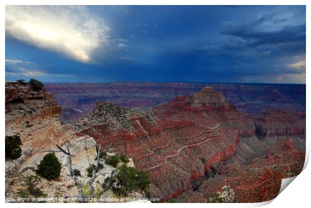 Grand Canyon Arizona, USA from near Cape Royal, North Rim Print by Geraint Tellem ARPS