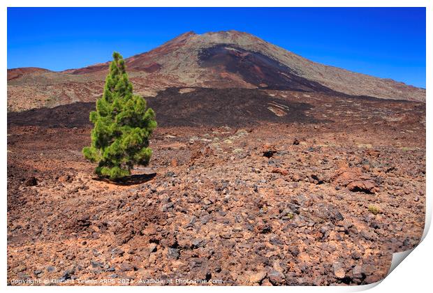 Mt. Teide, Tenerife, Canary Islands Print by Geraint Tellem ARPS