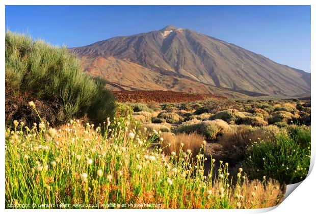Mt. Teide, Tenerife, Canary Islands Print by Geraint Tellem ARPS