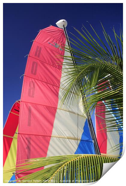 Catamaran sails near Port St Charles, west coast, Barbados Print by Geraint Tellem ARPS
