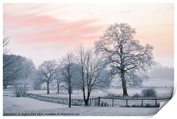 Sunset Snow Print by Reidy's Photos