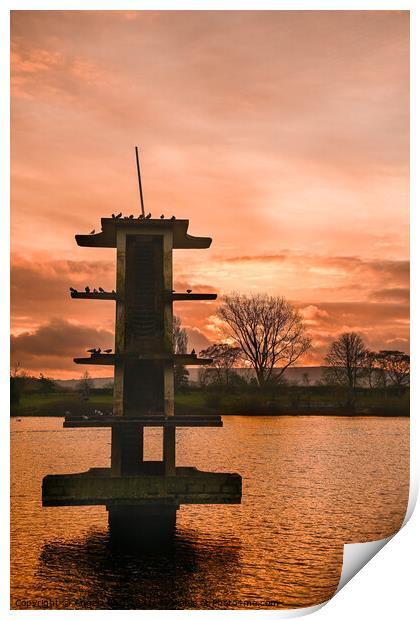 Golden Coate Water Print by Reidy's Photos