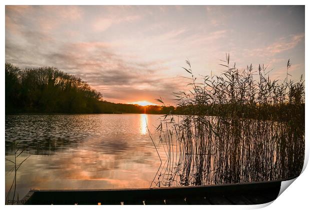 Sunset Reflection Coate Water Print by Reidy's Photos