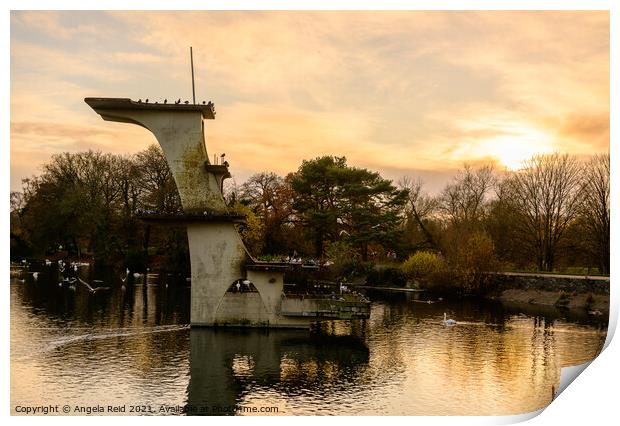 Golden Diving Board at Coate Water Print by Reidy's Photos