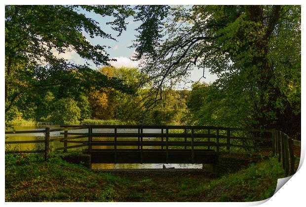 Stanton Country Park Bridge Print by Reidy's Photos