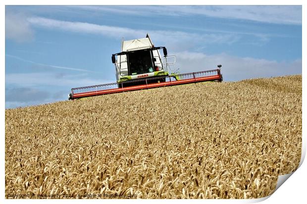 Harvesting wheat in Northumberland. Print by mick vardy
