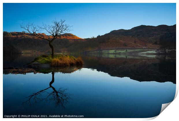 Rydal water lone tree reflection in the lake distr Print by PHILIP CHALK