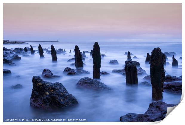 Ghostly groynes at dawn  on chemical beach Seaham  Print by PHILIP CHALK