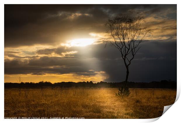 Strensall common sunset with light beam 09 Print by PHILIP CHALK