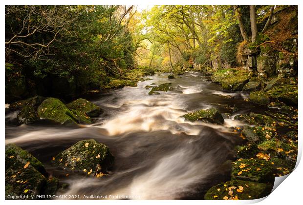 Nelly ayre beck woodland scene near Goathland 64 Print by PHILIP CHALK