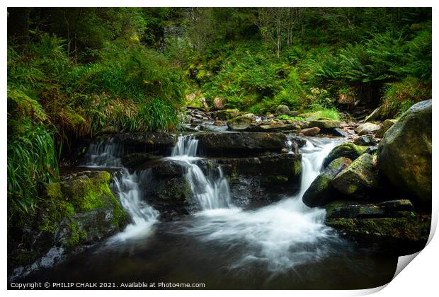 Magical woodland with a waterfall in Cumbria near Cockermouth 69 Print by PHILIP CHALK