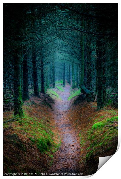 Enchanted Surreal  Cropton forest in North Yorkshire 90 Print by PHILIP CHALK