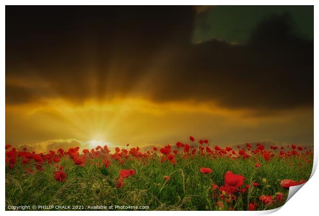 Sunset over a poppy field 122  Print by PHILIP CHALK