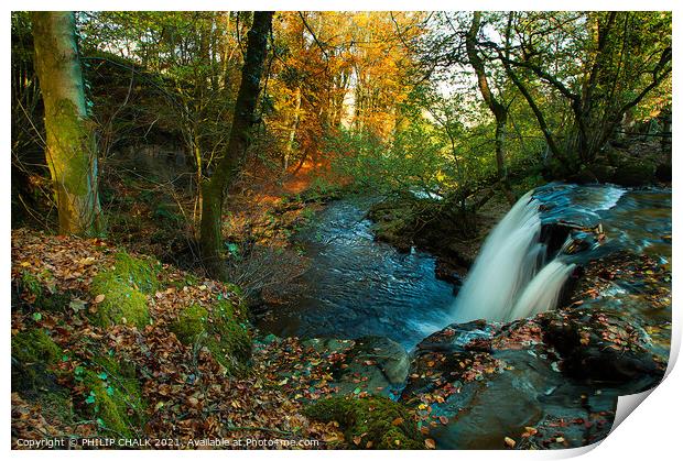 Autumn scene at Crackpot falls in the Yorkshire dales 146 Print by PHILIP CHALK