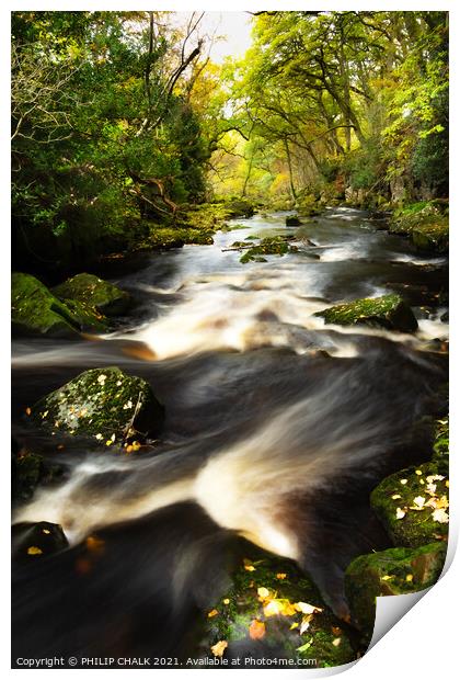 Nelly ayre beck woodland scene near Goathland 191 Print by PHILIP CHALK